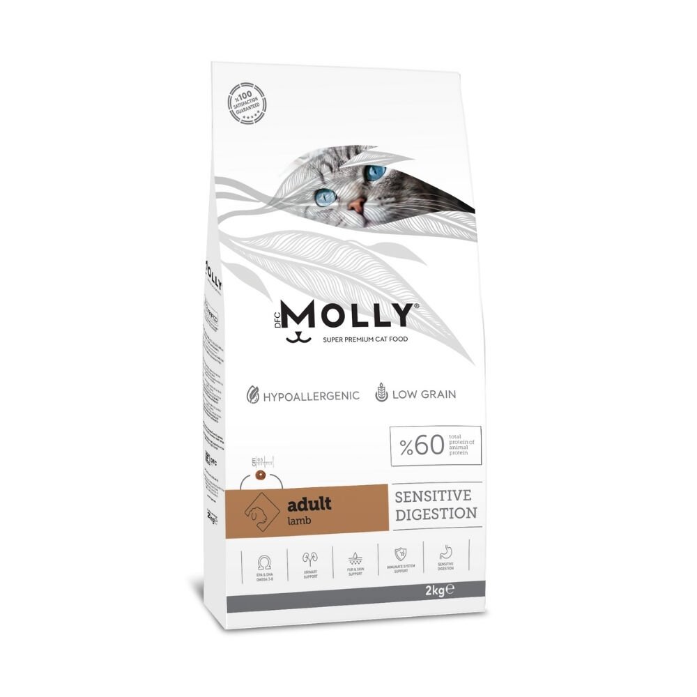 Molly  Yetişkin Kedi Maması Kuzulu 2kg