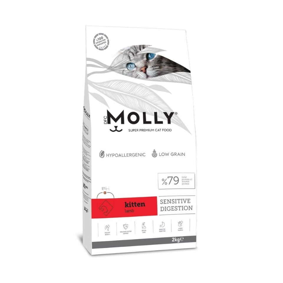 Molly  Yavru Kedi Maması Kuzulu 2kg