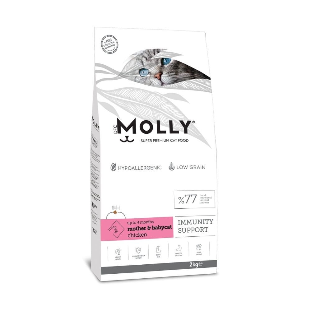 Molly  Anne&Yavru Kedi Maması Tavuklu 2kg