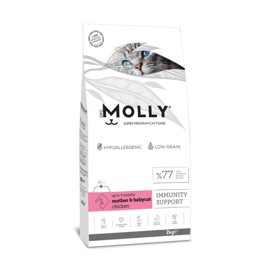 Molly  Anne&Yavru Kedi Maması Tavuklu 2kg