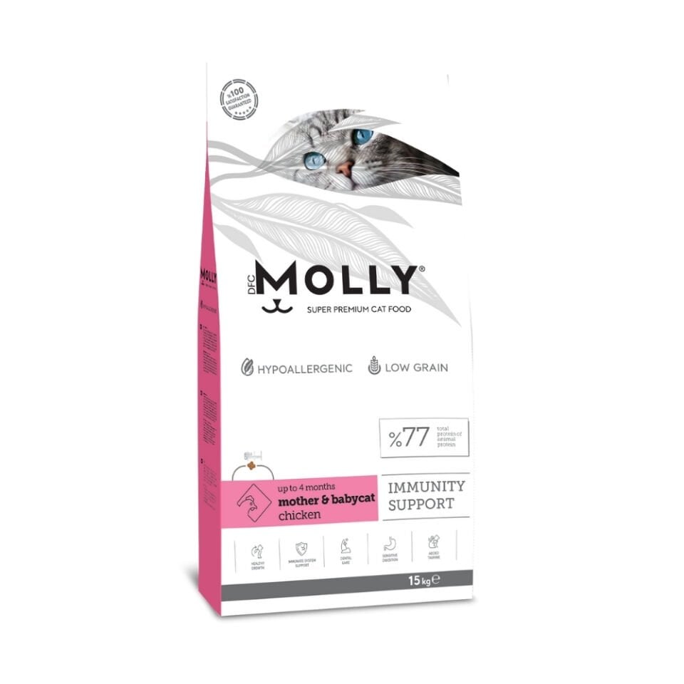 Molly  Anne&Yavru Kedi Maması Tavuklu 15kg