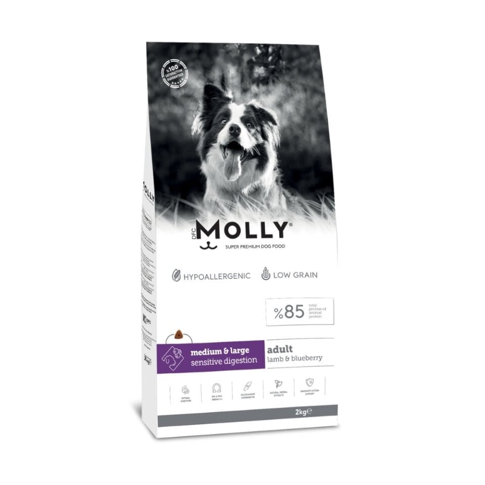 Molly  Orta ve Büyük Irk Yetişkin Köpek Maması Kuzulu&Yaban Mersinli 2kg