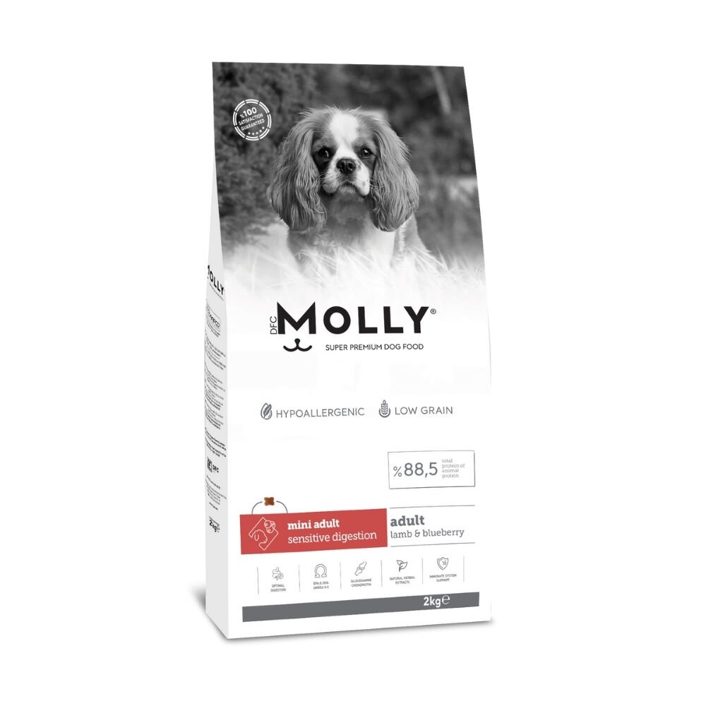 Molly  Mini Irk Yetişkin Köpek Maması Kuzulu&Yaban Mersinli 2kg