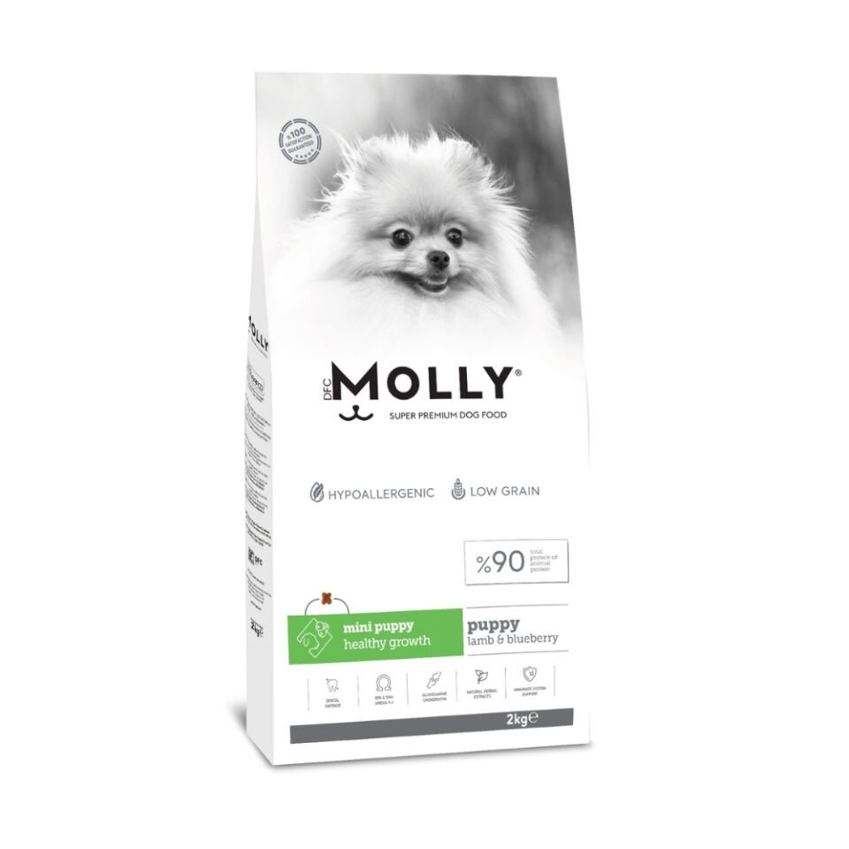 Molly  Mini Irk Yavru Köpek Maması Kuzulu&Yaban Mersinli 2kg