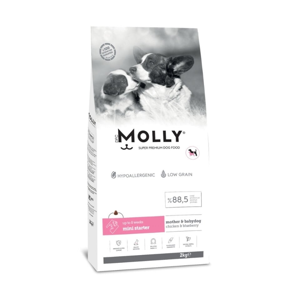 Molly  Mini Irk Anne&Yavru Köpek Maması Tavuklu&Yaban Mersinli 2kg