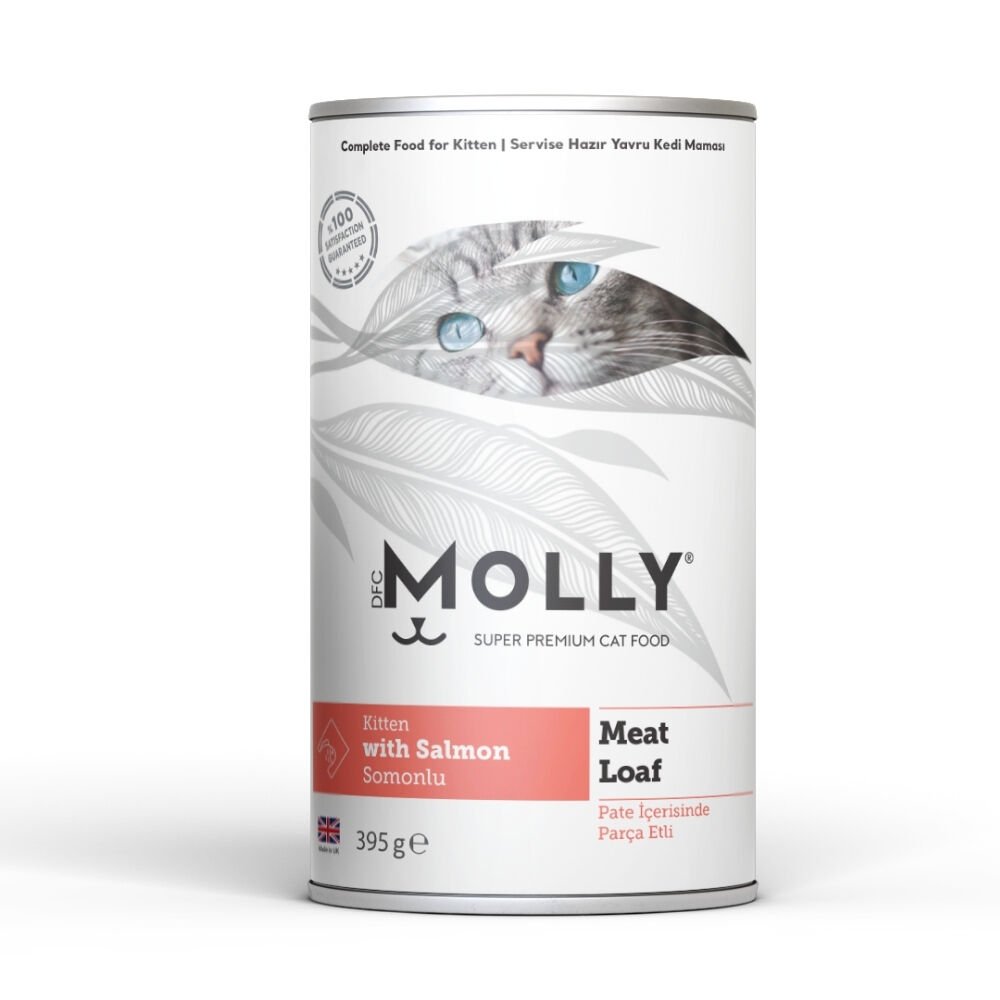 Molly Konserve Yavru Kedi Pate Somonlu  395g