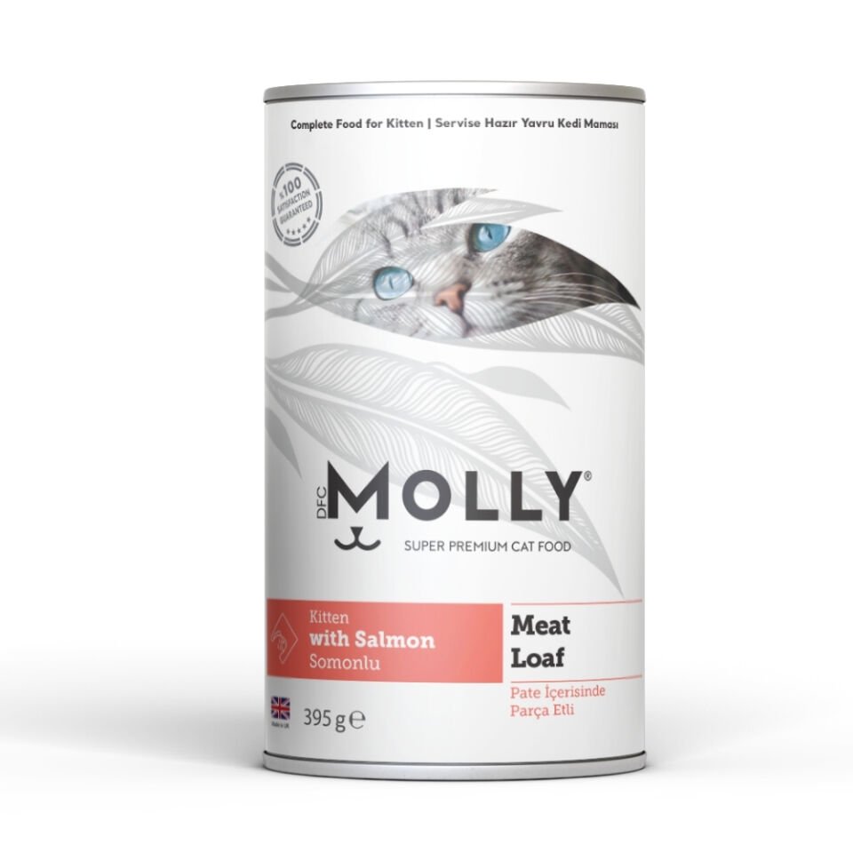 Molly Konserve Yavru Kedi Pate Somonlu  395g