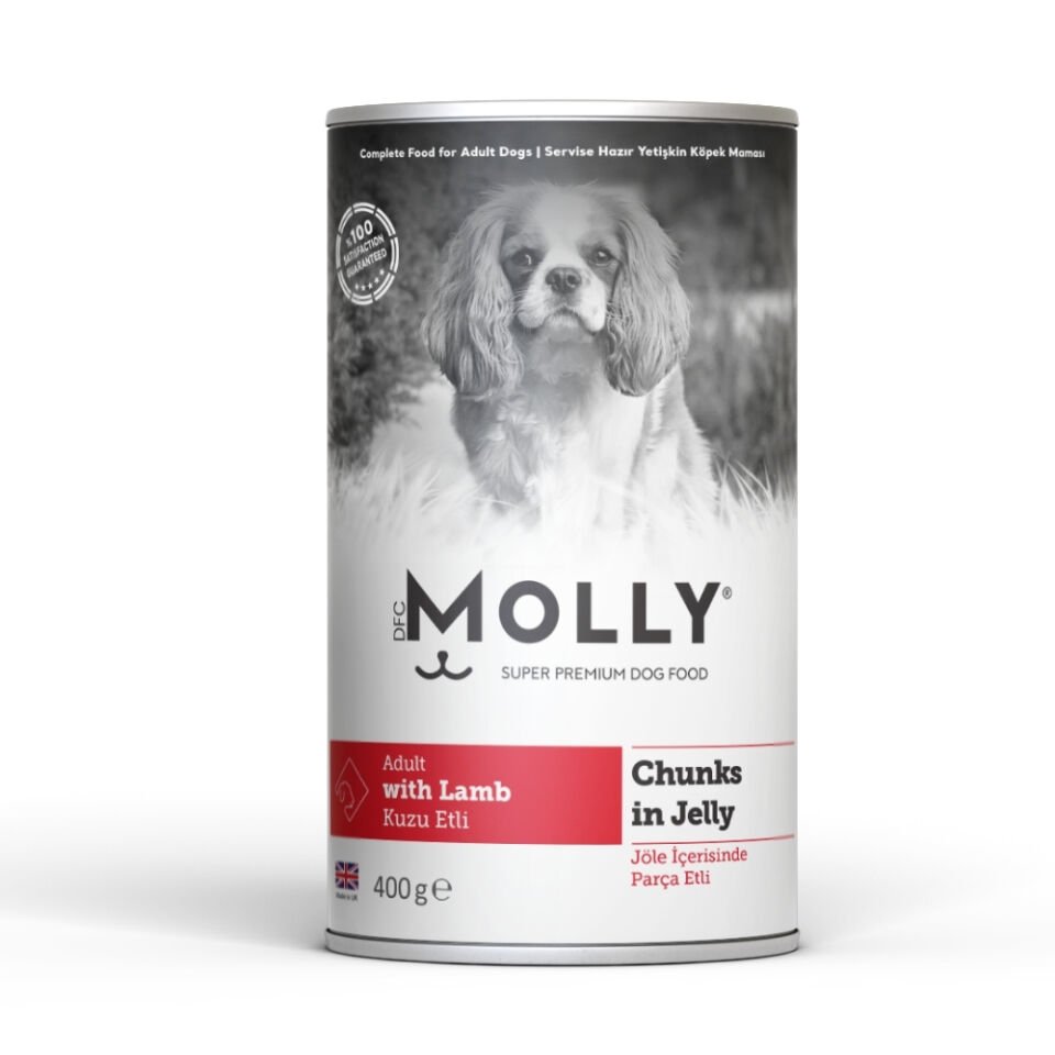 Molly Konserve Yetişkin Köpek  Jöleli Kuzulu 400g