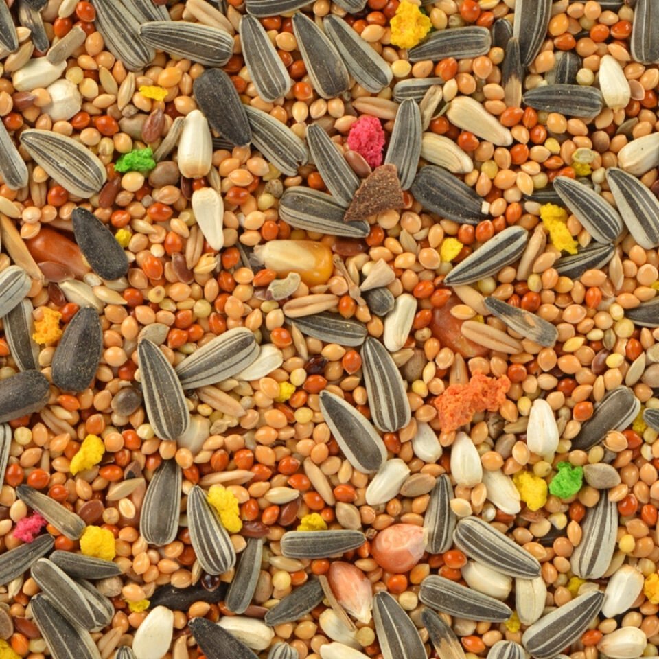 Jungle Natural Papağan Yemi 500 Gr