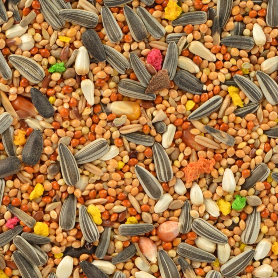 Quik Paraket Yemi 750 gr