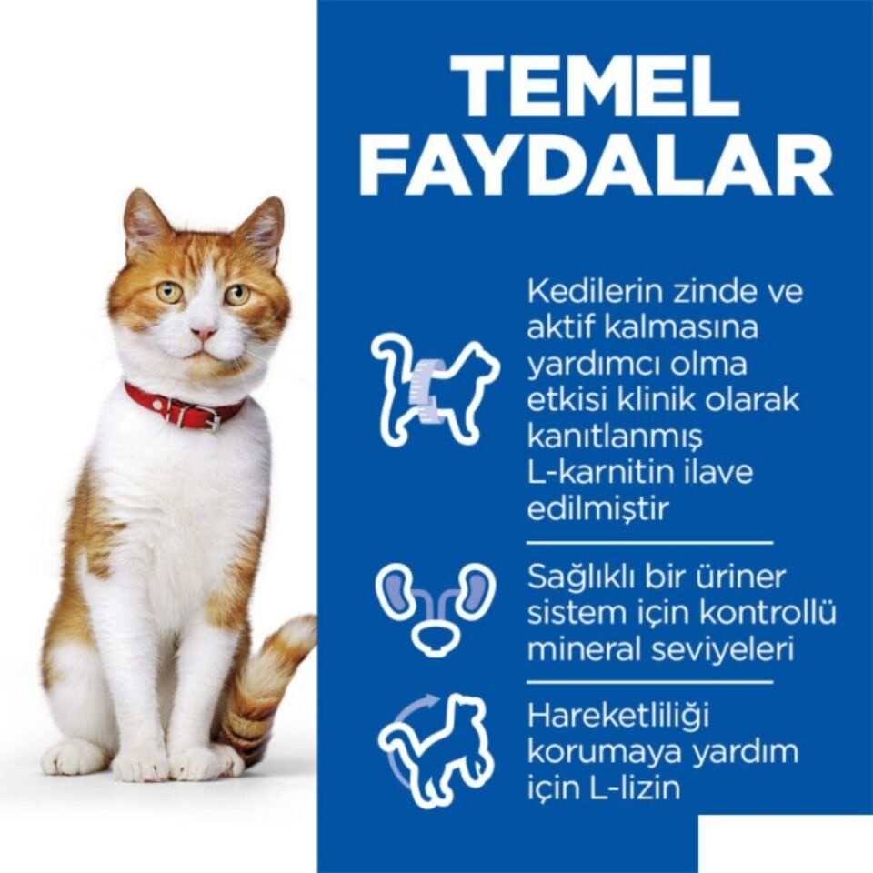 Hill's SCIENCE PLAN Somonlu Kısırlaştırılmış Yetişkin Kedi Maması 3kg