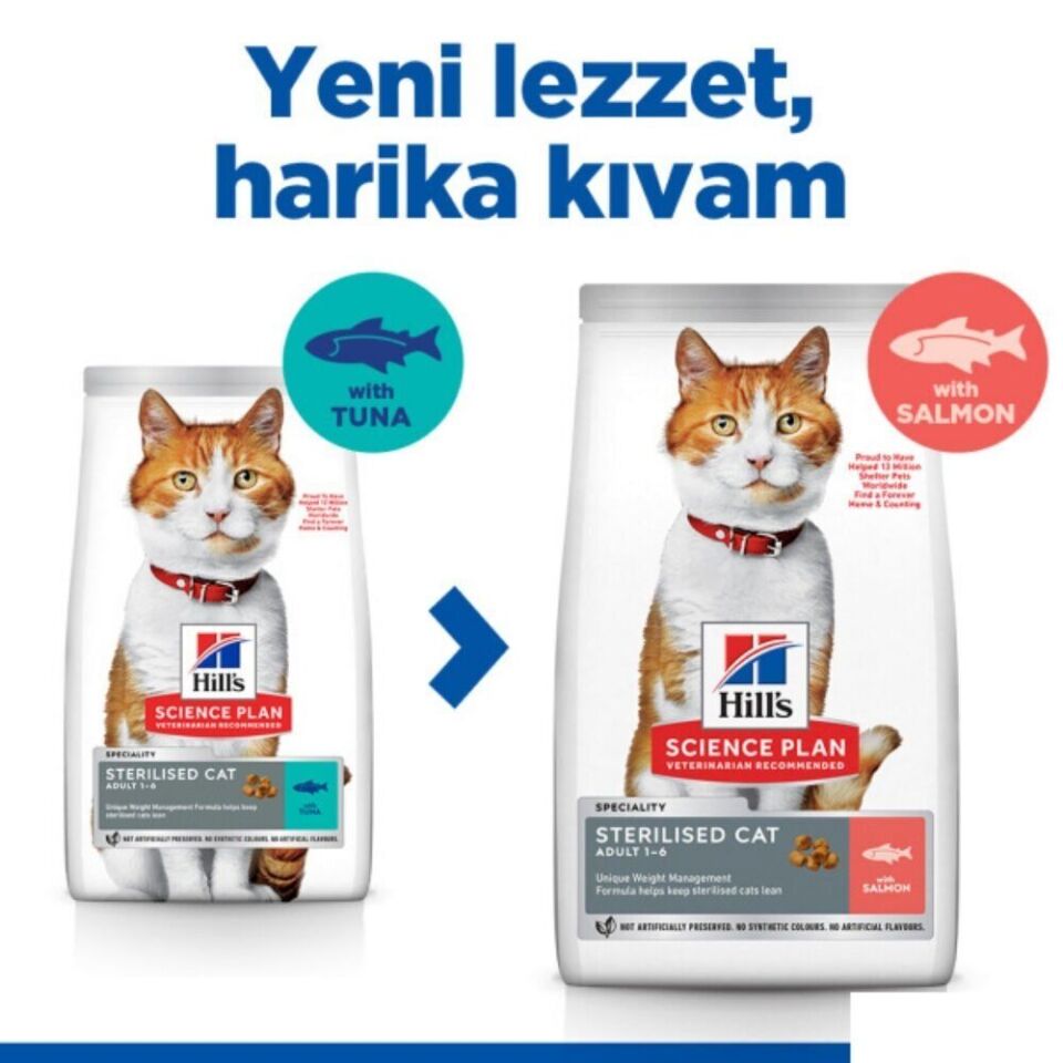 Hill's SCIENCE PLAN Somonlu Kısırlaştırılmış Yetişkin Kedi Maması 8kg + 2kg HEDİYE!