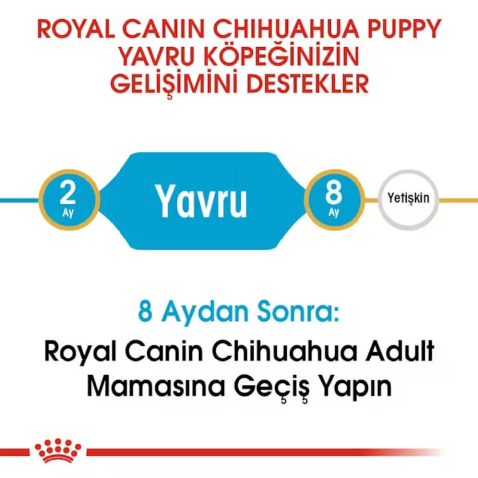 Royal Canin Puppy Chihuahua Yavru Köpek Maması 1,5kg