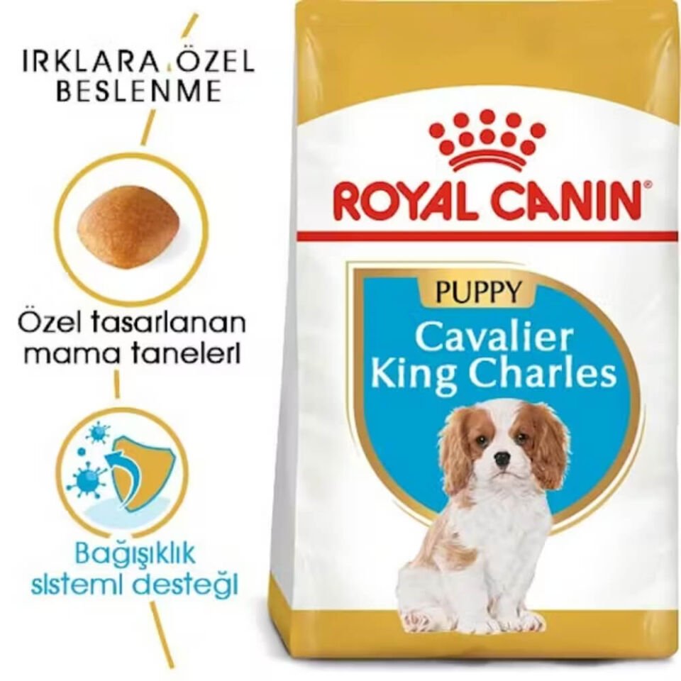 Royal Canin Puppy Cavalier King Charles Yavru Köpek Maması 1,5kg