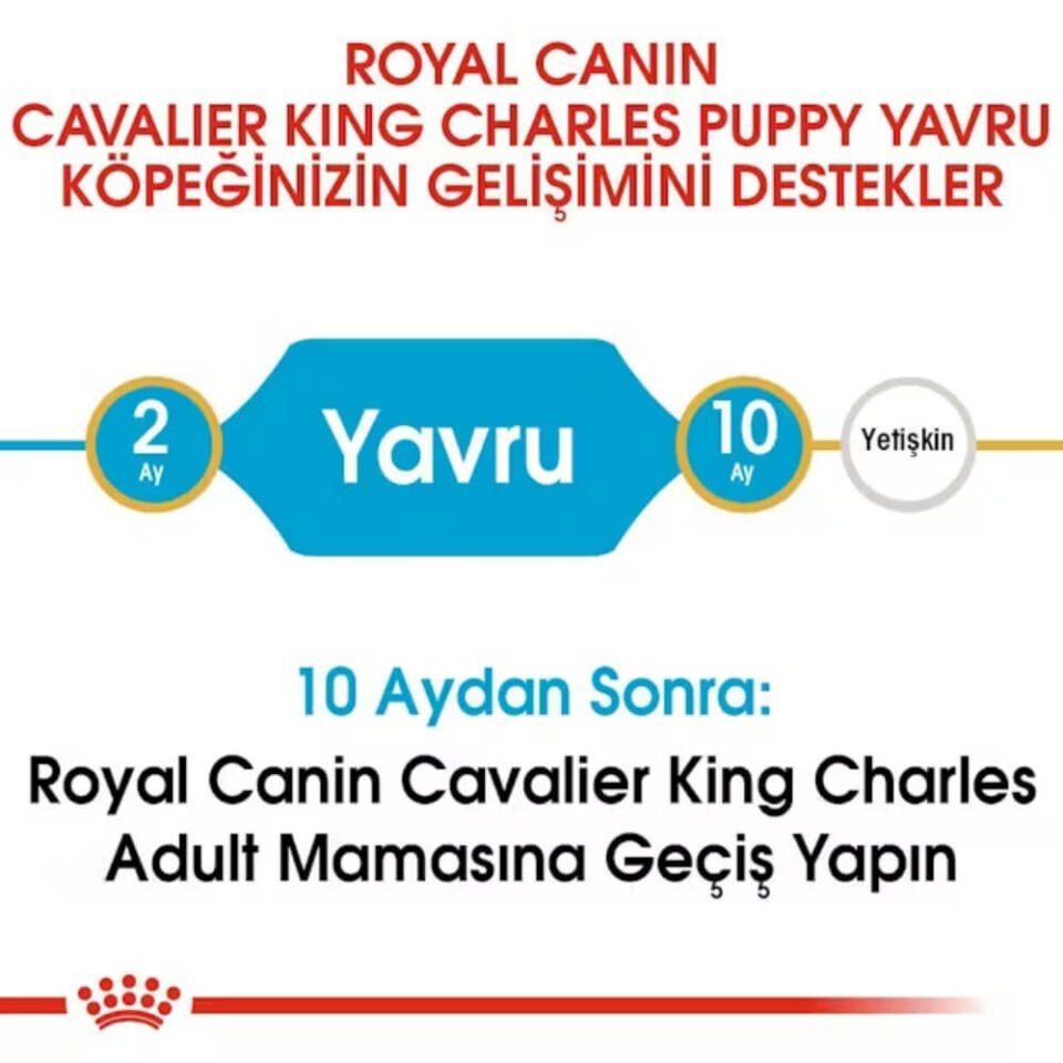Royal Canin Puppy Cavalier King Charles Yavru Köpek Maması 1,5kg