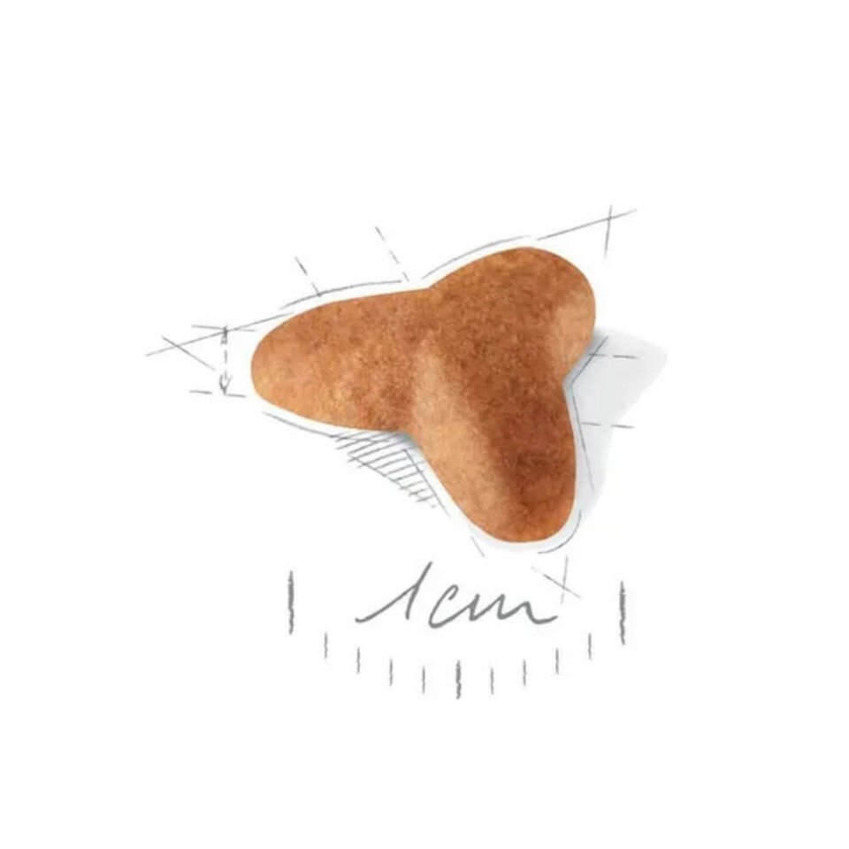 Royal Canin Pug Junior Yavru Köpek Maması 1,5kg