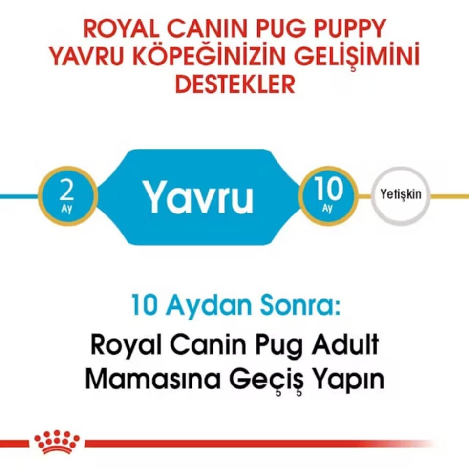 Royal Canin Pug Junior Yavru Köpek Maması 1,5kg