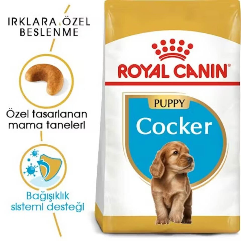 Royal Canin Cocker Junior Yavru Köpek Maması 3kg