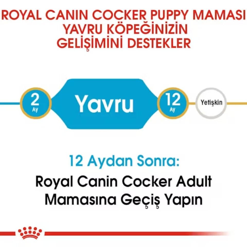 Royal Canin Cocker Junior Yavru Köpek Maması 3kg