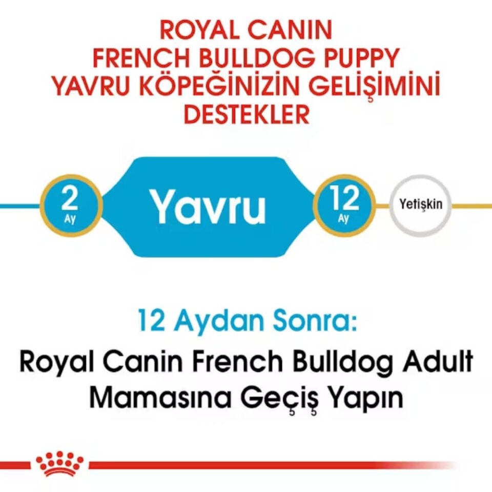 Royal Canin French Bulldog Junior Yavru Köpek Maması 3kg