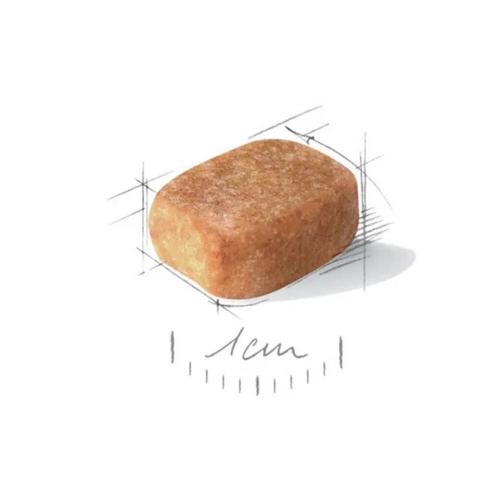 Royal Canin Chihuahua Yetişkin Köpek Maması 1,5kg