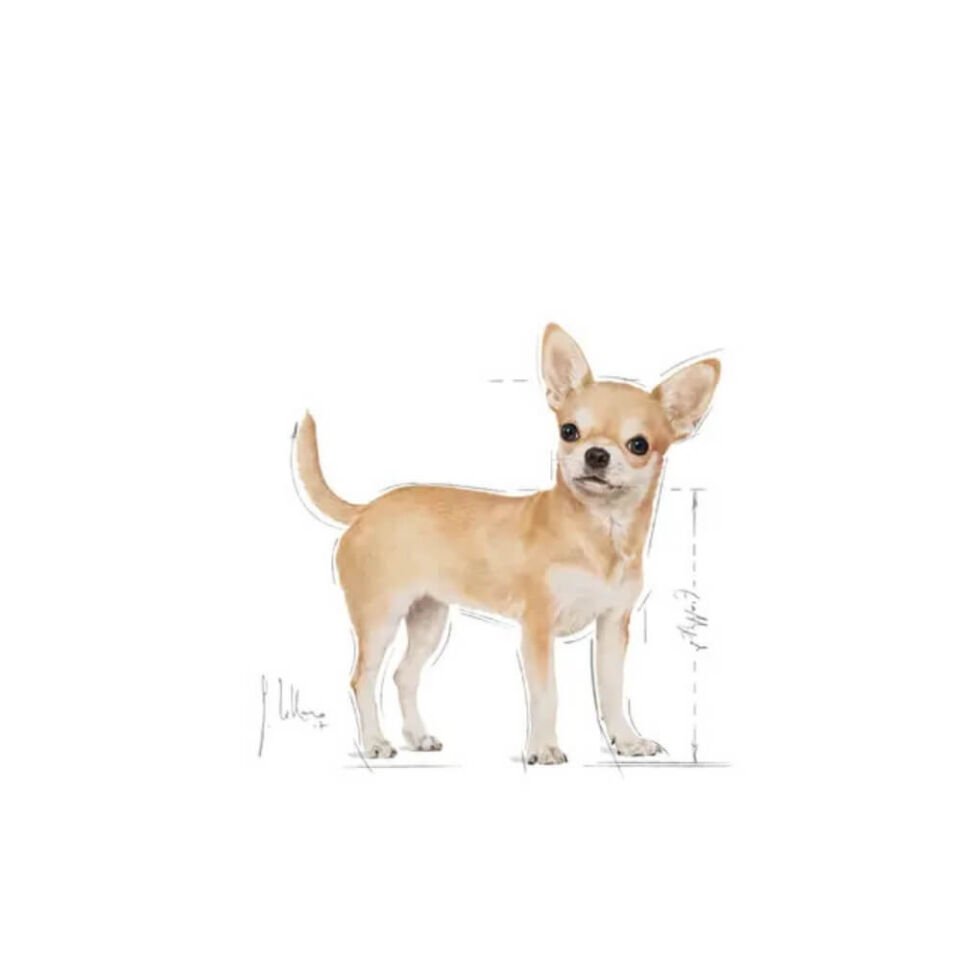 Royal Canin Chihuahua Yetişkin Köpek Maması 1,5kg