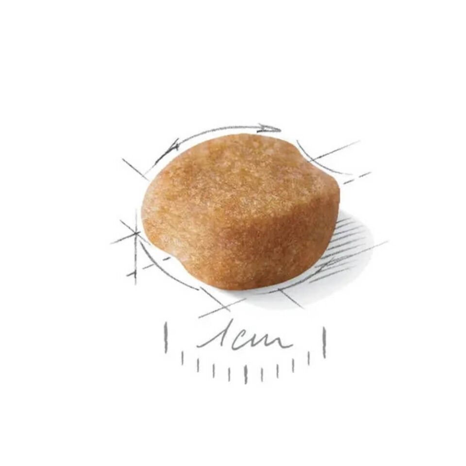 Royal Canin Yorkshire Terrier Yetişkin Köpek Maması 1,5kg