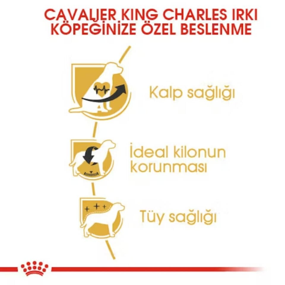 Royal Canin Cavalier King Charles 27 Yetişkin Köpek Maması 1,5kg