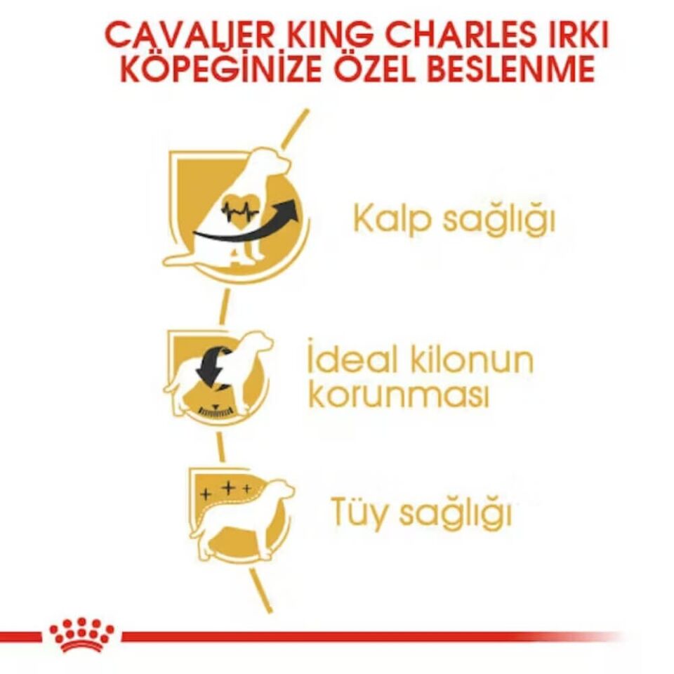 Royal Canin Cavalier King Charles 27 Yetişkin Köpek Maması 3kg