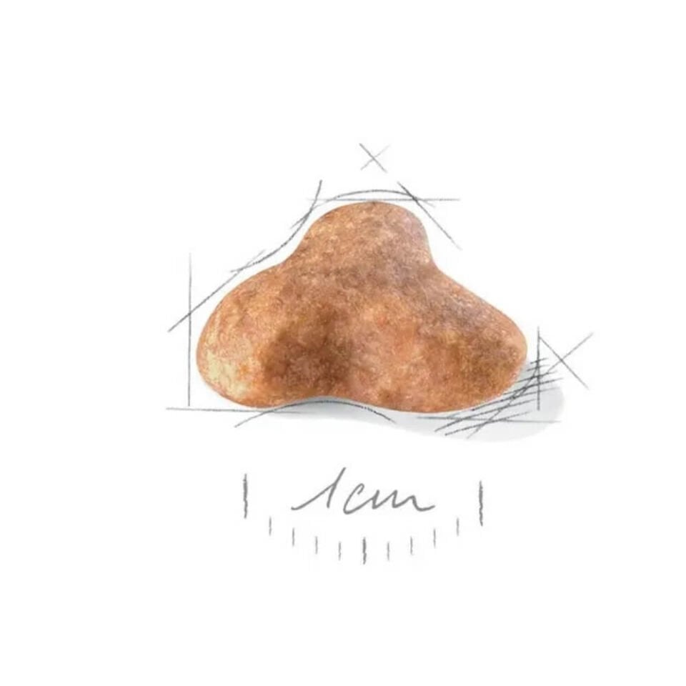 Royal Canin Pug Yetişkin Köpek Maması 1,5kg