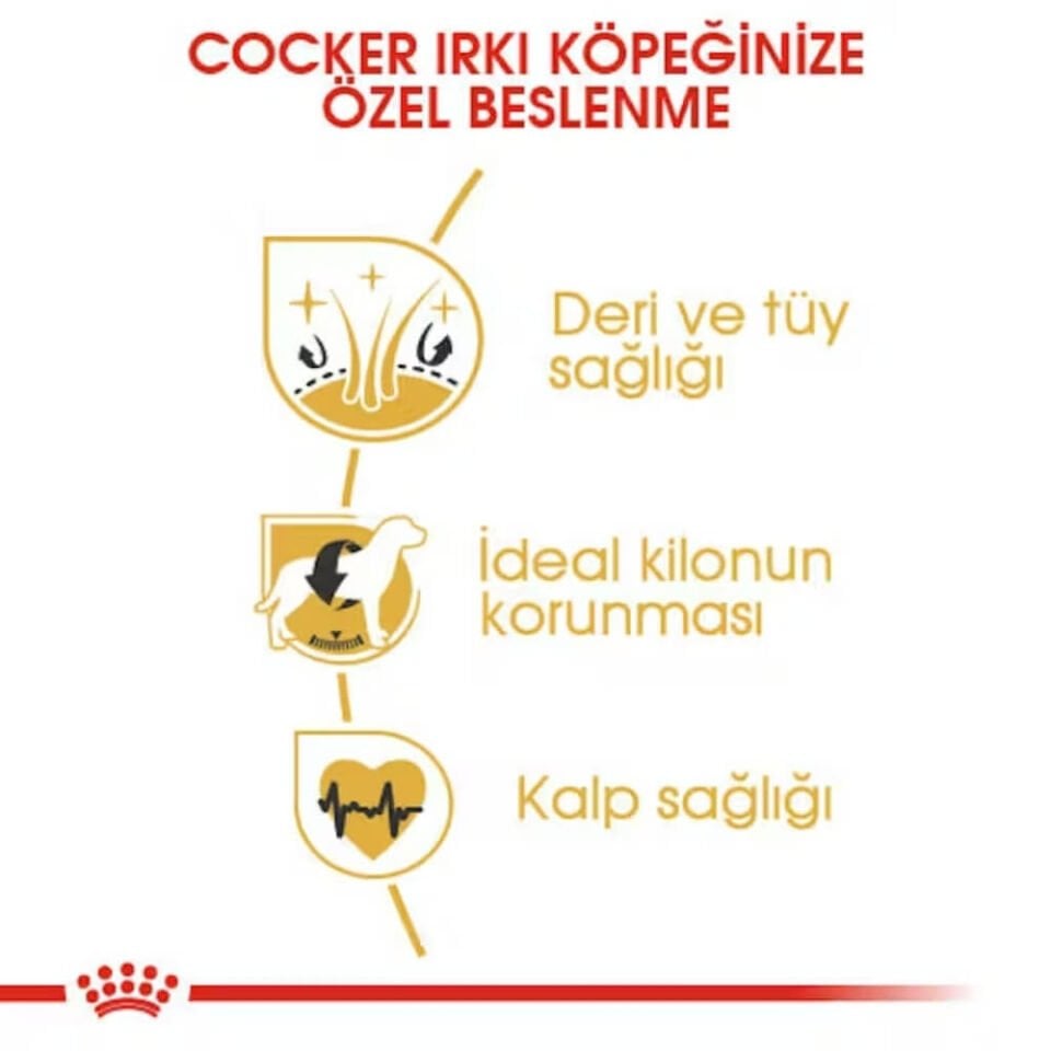 Royal Canin Cocker Spaniel 25 Yetişkin Köpek Maması 3kg