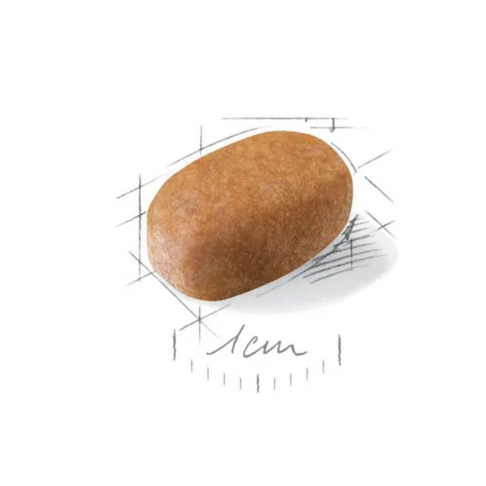 Royal Canin Maltese Terrier Yetişkin Köpek Maması 1,5kg