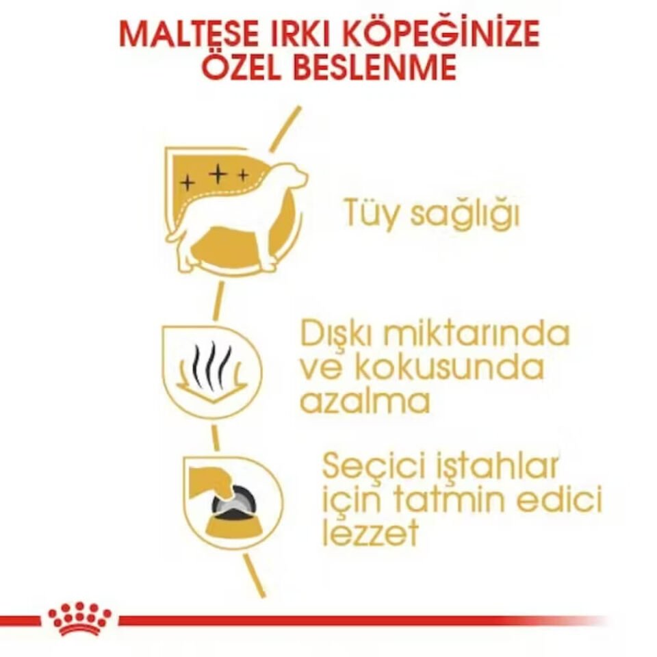 Royal Canin Maltese Terrier Yetişkin Köpek Maması 1,5kg