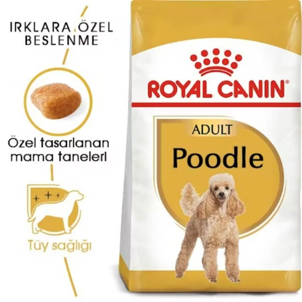 Royal Canin Poodle Yetişkin Köpek Maması 3kg
