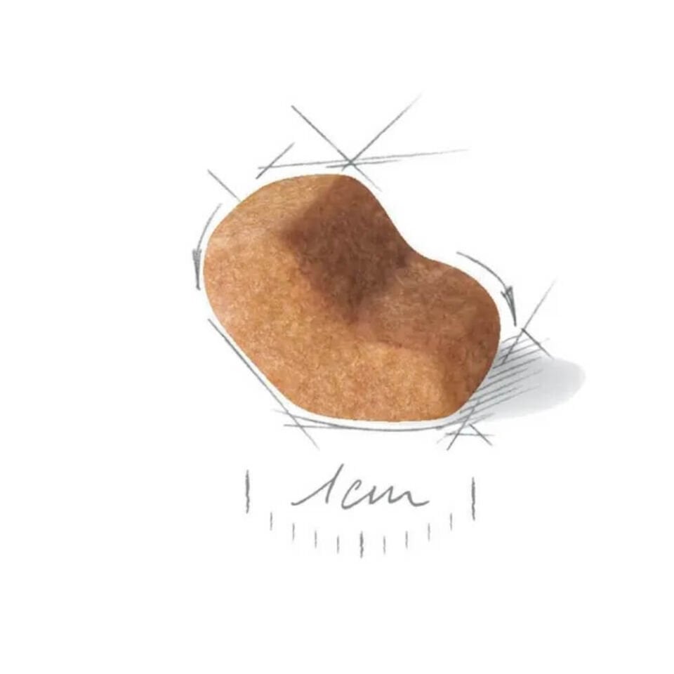 Royal Canin Shih Tzu Yetişkin Köpek Maması 1,5kg