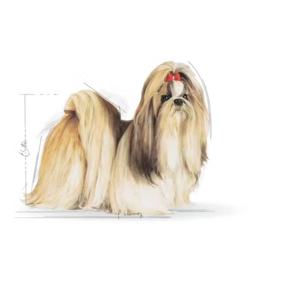 Royal Canin Shih Tzu Yetişkin Köpek Maması 1,5kg
