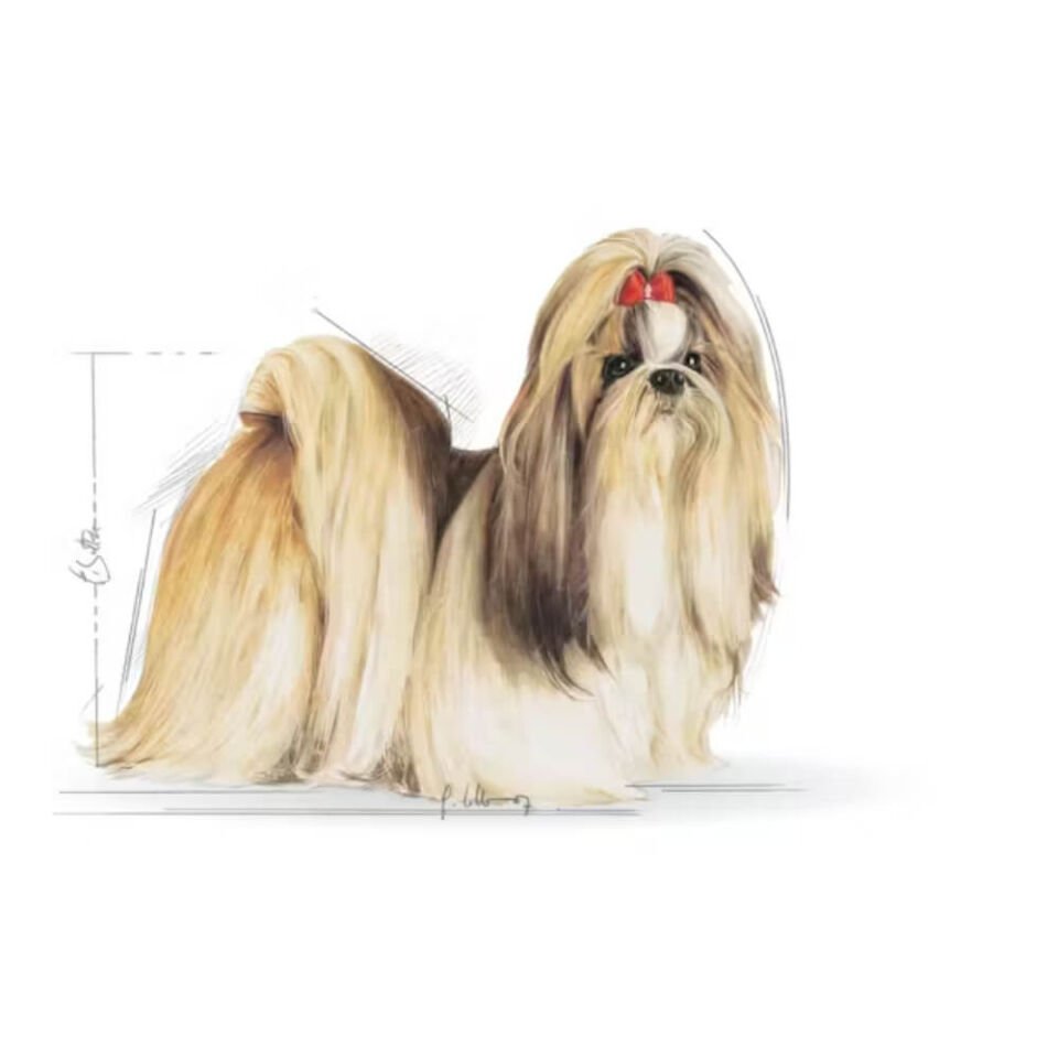 Royal Canin Shih Tzu Yetişkin Köpek Maması 1,5kg