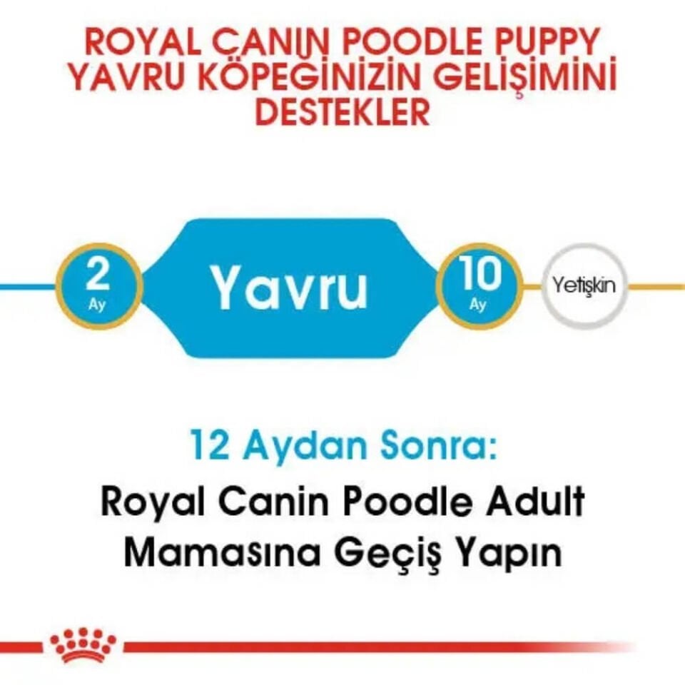 Royal Canin Puppy Poodle Caniche Yavru Köpek Maması 3kg