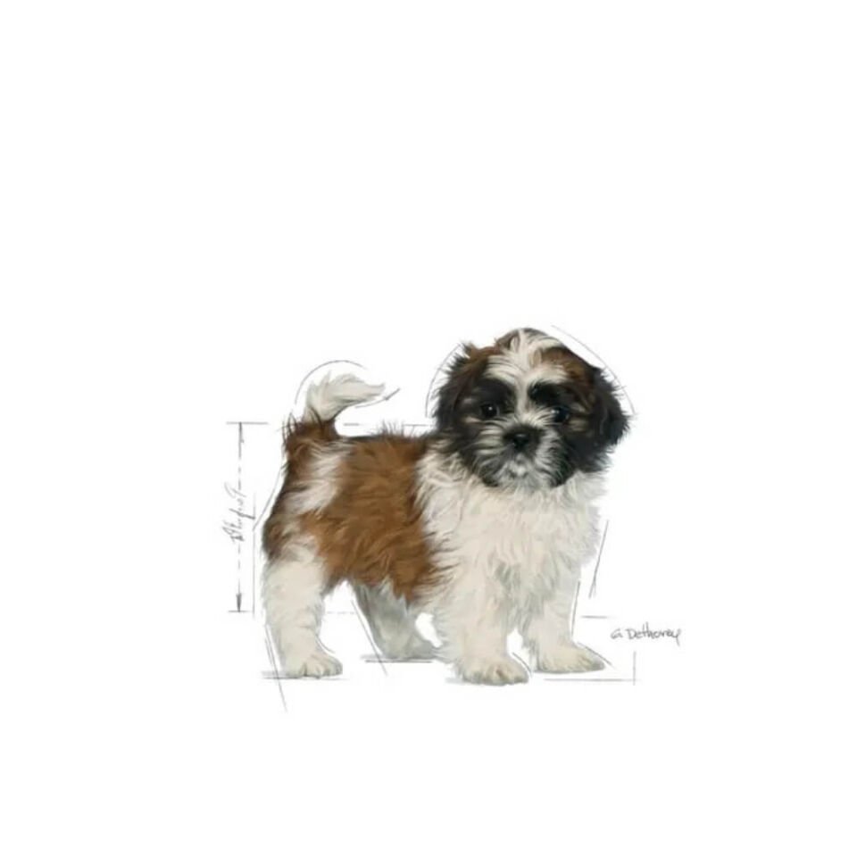 Royal Canin Shih Tzu Yavru Köpek Maması 1,5kg