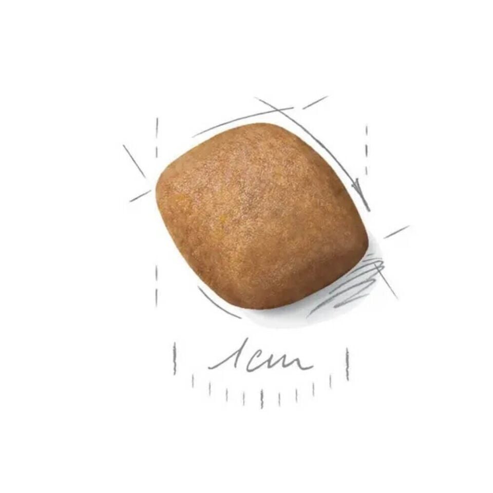 Royal Canin Pomeranian Yetişkin Köpek Maması 3kg