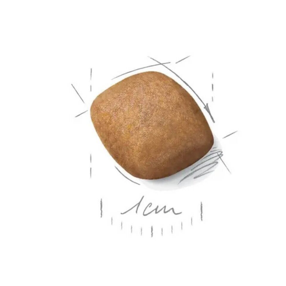 Royal Canin Pomeranian Yetişkin Köpek Maması 3kg