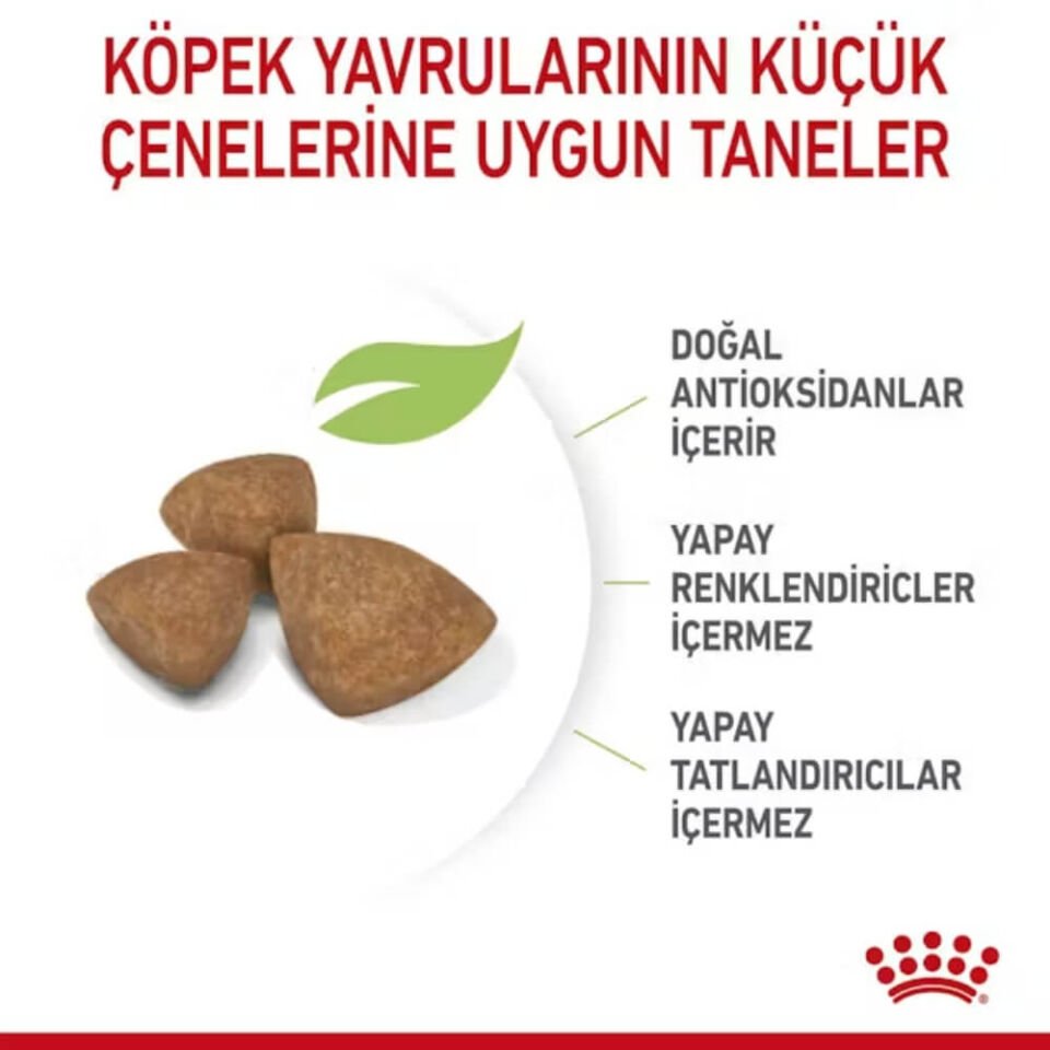 Royal Canin X-Small Küçük Irk Yavru Köpek Maması 1,5kg