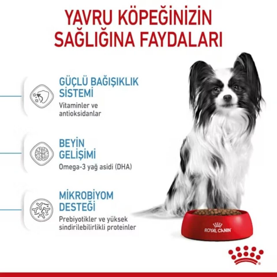 Royal Canin X-Small Küçük Irk Yavru Köpek Maması 3kg
