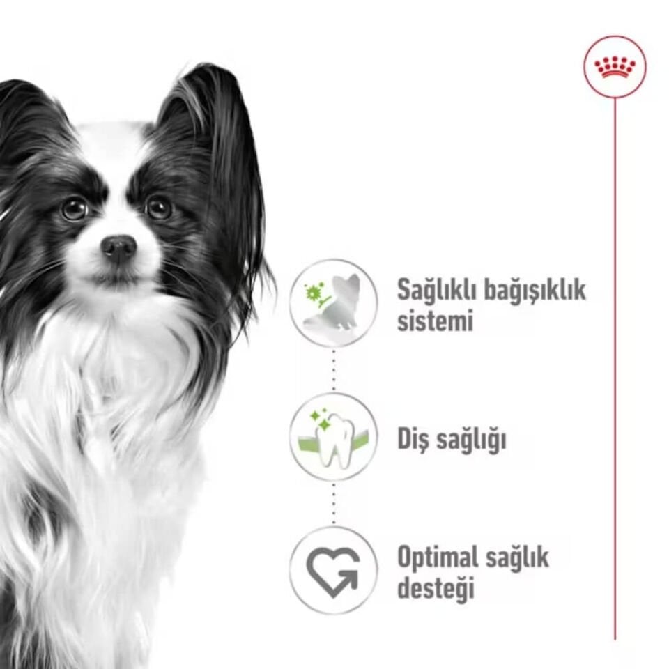 Royal Canin X-Small Küçük Irk Yetişkin Köpek Maması 1,5kg