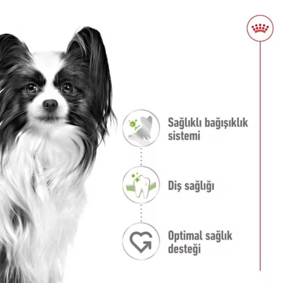 Royal Canin X-Small Küçük Irk Yetişkin Köpek Maması 3kg