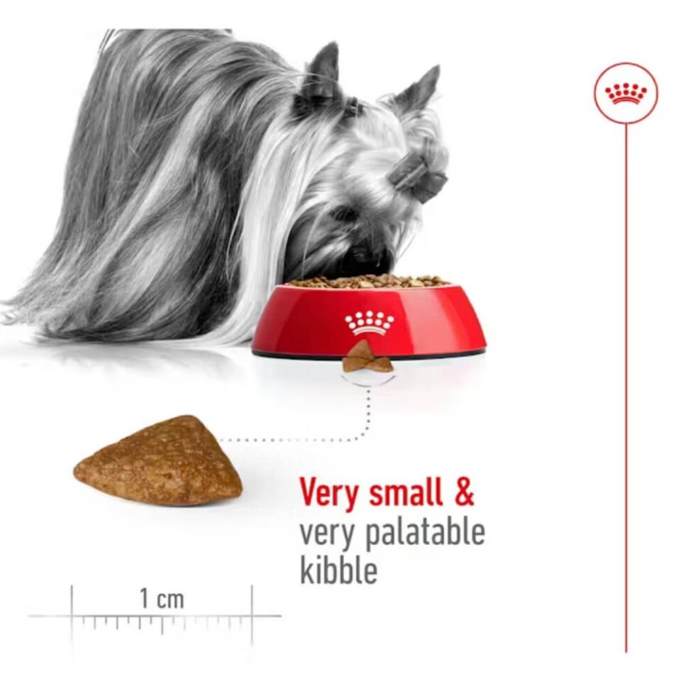 Royal Canin X-Small Ageing 12+ Küçük Irk Yaşlı Köpek Maması 1,5kg