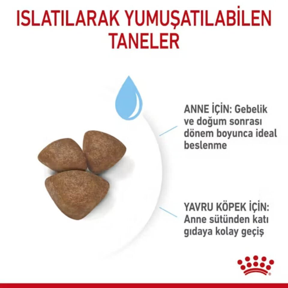 Royal Canin Mini Starter Mother&Babydog Küçük Irk Yavru Köpek Maması 4kg