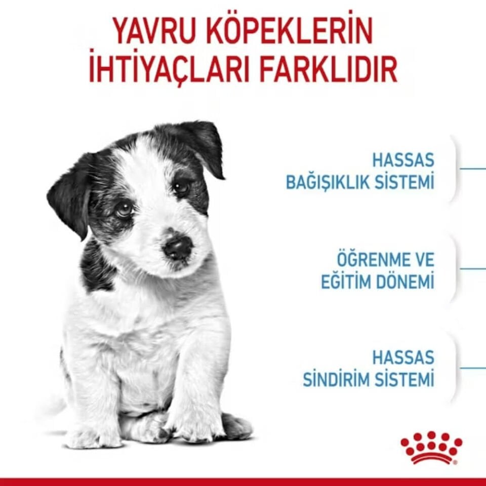 Royal Canin Mini Junior Küçük Irk Yavru Köpek Maması 2kg