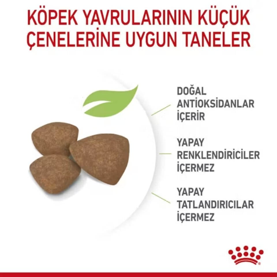 Royal Canin Mini Junior Küçük Irk Yavru Köpek Maması 2kg