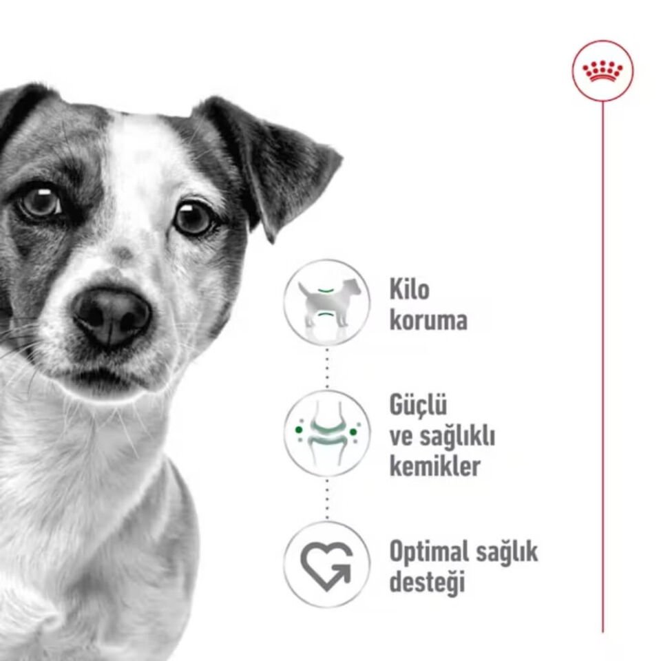 Royal Canin Mini Küçük Irk Yetişkin Köpek Maması 2kg